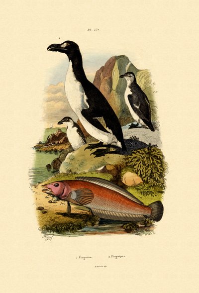 Pingüino de French School